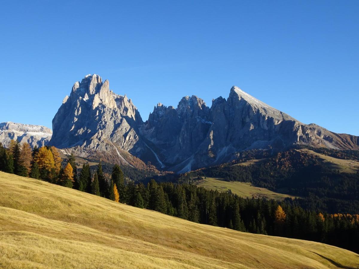 Appartamento Dolomiti Selva di Val Gardena Exterior foto