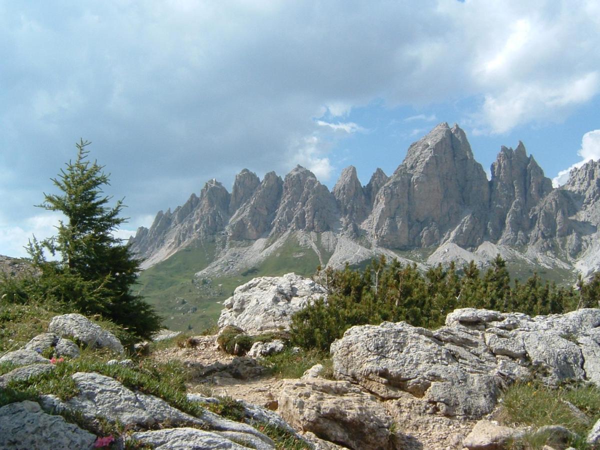 Appartamento Dolomiti Selva di Val Gardena Exterior foto